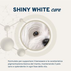 画像4: NEW 最短賞味・フォルツァ10 犬 スペシャルケア シャイニーホワイト 2.8kg fo73084白毛成犬用ドッグフードFORZA10正規品 (4)