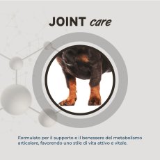 画像4: NEW 最短賞味・フォルツァ10 犬 スペシャルケア ジョイント 800g fo73107関節ケア成犬用ドッグフードFORZA10正規品 (4)
