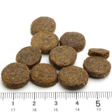 画像3: 最短賞味2025.5・フォルツァ10 犬 デイリーフォルツァ パピーフィッシュ小粒 3kg（500g×6袋）ローグレインFORZA10正規品fo70274 (3)