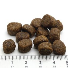 画像3: DAILY Proミニ フィッシュ600g付き！900g×4個対応・最短賞味2026.1・フォルツァ10 デイリーフォルツァ ミニ フィッシュ 小粒 3kg/fo70304 (3)