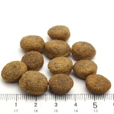 画像3: 最短賞味2025.3・フォルツァ10 デイリーフォルツァ ミディアム ポーク中粒3kg（500g×6袋）グルテンフリーFORZA10正規品fo70458 (3)