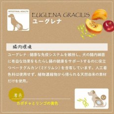 画像6: 最短賞味2026.3・ファープラスト ベジタリアン デンタル スナック スノーフレーク ユーグレナＳ 犬用おやつ 歯みがきガム正規品fp07735 (6)