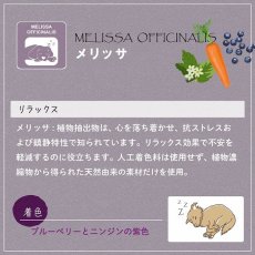 画像6: 最短賞味2026.3・ファープラスト ベジタリアン デンタル スナック トゥースブラシ メリッサＳ 犬用おやつ 歯みがきガム正規品fp07865 (6)