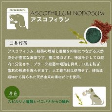画像6: 最短賞味2026.2・ファープラスト ベジタリアン デンタル スナック ボーン アスコフィランM 犬用おやつ 歯みがきガム正規品fp07995 (6)