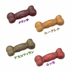 画像8: NEW 最短賞味2026.2・ファープラスト ベジタリアン デンタル スナック ボーン アスコフィランM 犬用おやつ 歯みがきガム正規品fp07995 (8)