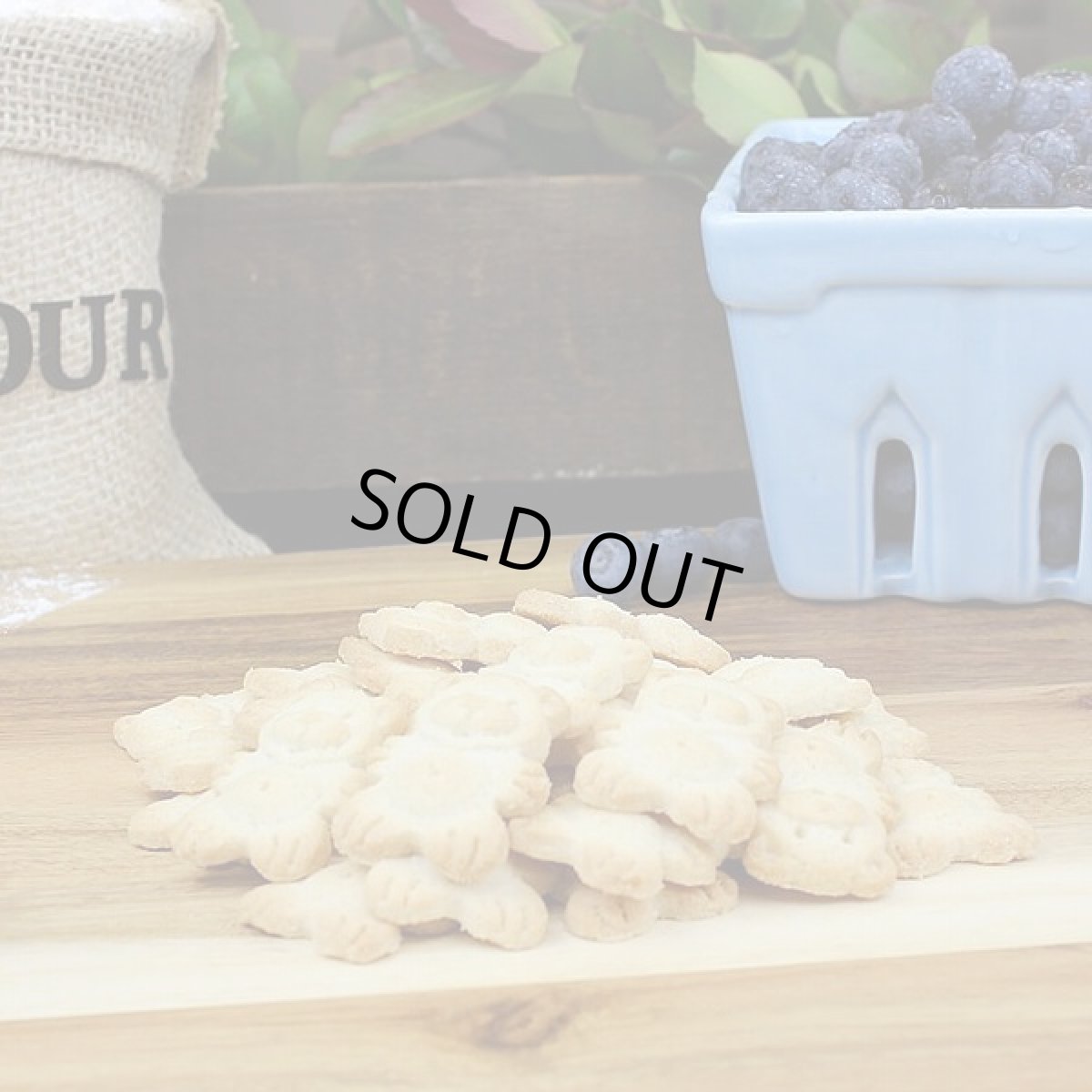 画像2: 最短賞味2026.9・グランマ・ルーシーズ オーガニックドッグトリーツ ブルーベリー 397g オーブンベイクド Grandma Lucys 正規品gl20076 (2)