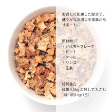 画像2: 最短賞味2025.3・グランマ・ルーシーズ 犬猫用パンプキンパウチ ダイジェスティブ 170g 胃腸ケア/お野菜サプリGrandma Lucy's正規品gl28111 (2)