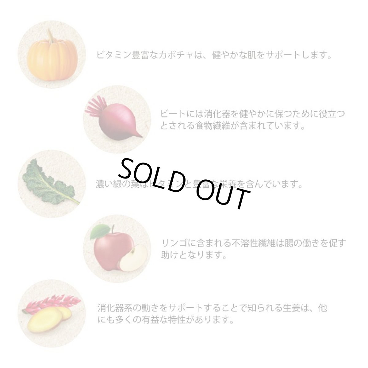 画像3: 最短賞味2026.3・グランマ・ルーシーズ 犬猫用パンプキンパウチ ダイジェスティブ 170g 胃腸ケア/お野菜サプリGrandma Lucy's正規品gl28111 (3)