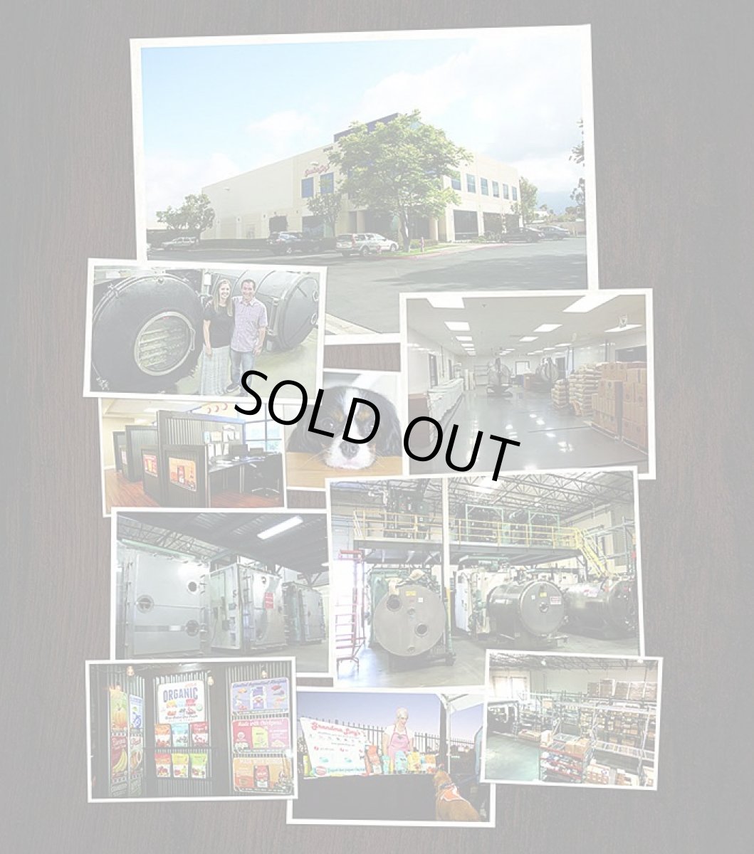 画像7: 最短賞味2026.3・グランマ・ルーシーズ 犬猫用パンプキンパウチ ダイジェスティブ 170g 胃腸ケア/お野菜サプリGrandma Lucy's正規品gl28111 (7)