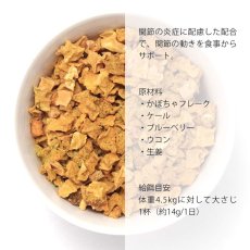 画像2: 最短賞味2026.3・グランマ・ルーシーズ 犬猫用パンプキンパウチ インフラメーション 170g 関節ケア/お野菜サプリGrandma Lucy's正規品gl28128 (2)