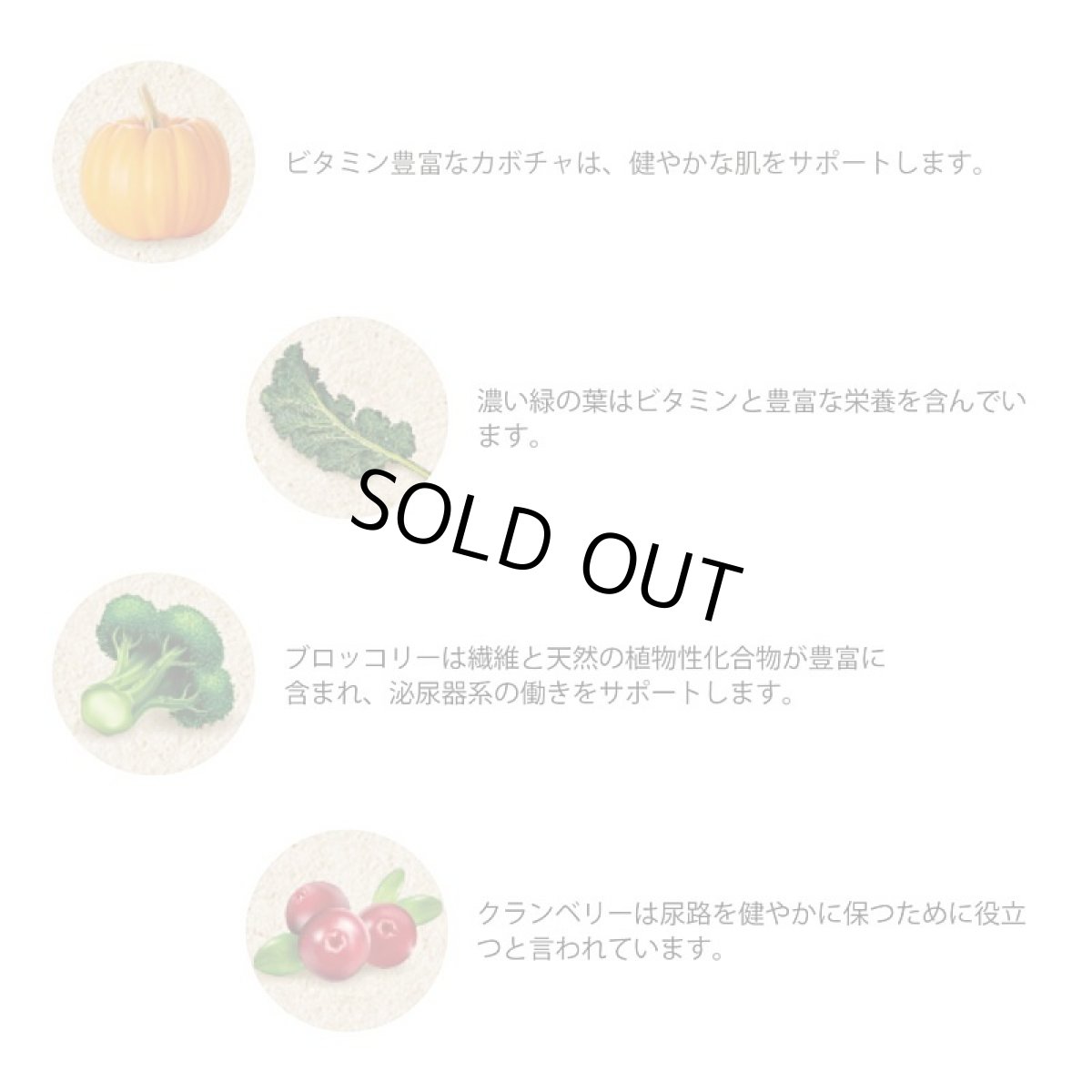 画像3: 最短賞味2026.3・グランマ・ルーシーズ 犬猫用パンプキンパウチ ブラッダー 170g 泌尿器ケア/お野菜サプリGrandma Lucy's正規品gl28135 (3)