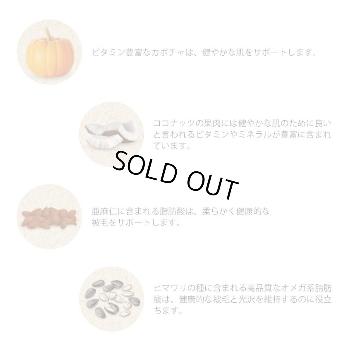 画像3: 最短賞味2026.6・グランマ・ルーシーズ 犬猫用パンプキンパウチ スキン&コート 170g 皮膚被毛ケア/お野菜サプリGrandma Lucy's正規品gl28142 (3)