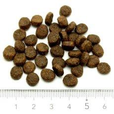 画像2: NEW 最短賞味2027.9.30・グレンコ 犬 ナチュール サーモン小粒100g/gle09959成犬用ドッグフードGLENCO正規品 (2)
