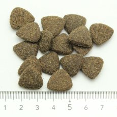 画像2: NEW 最短賞味2027.6.7・グレンコ 犬 スペシャルレシピ グラスフェッドラム中粒100g/gle17471成犬用ドッグフードGLENCO正規品 (2)