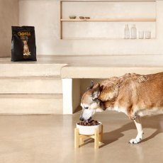 画像2: NEW 入荷待ち・ゴスビ 犬 EXCLUSIVE グレインフリー アダルト ダック MEDIUM 3kg gos00303 Gosbi正規品 (2)
