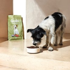 画像2: NEW 最短賞味2027.3.1・ゴスビ 犬 EXCLUSIVE ラム MINI 500g gos01874ローグレイン成犬用ドライ Gosbi正規品 (2)