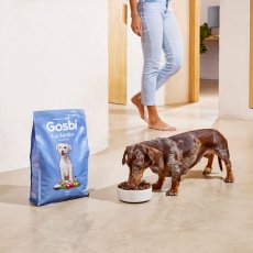 画像2: NEW 最短賞味2027.4.1・ゴスビ 犬 EXCLUSIVE フィッシュ MINI 500g gos01881ローグレイン成犬用ドライ Gosbi正規品 (2)