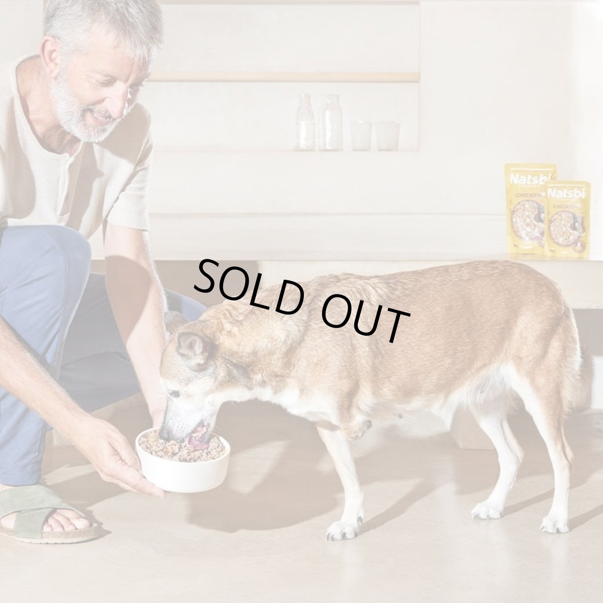 画像3: NEW 入荷待ち・ゴスビ Natsbi ナツビ犬 STEAMED チキン 500gパウチ gos04905全年齢犬用総合栄養食ウェット Gosbi正規品 (3)