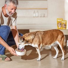 画像3: NEW 入荷待ち・ゴスビ Natsbi ナツビ犬 STEAMED チキン 500gパウチ gos04905全年齢犬用総合栄養食ウェット Gosbi正規品 (3)