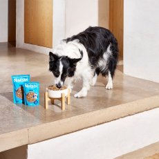 画像3: NEW 入荷待ち・ゴスビ Natsbi ナツビ犬 STEAMED フィッシュ 500gパウチ gos04943全年齢犬用総合栄養食ウェット Gosbi正規品 (3)