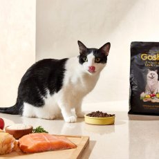 画像2: NEW 入荷待ち・ゴスビ 猫 EXCLUSIVE グレインフリー チキン＆フィッシュ アダルト 2kg gos06947成猫用ドライ Gosbi正規品 (2)