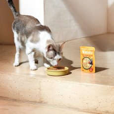 画像4: NEW 最短賞味2027.12・ゴスビ Natsbi ナツビ猫 STEAMED チキンwithうずら卵 80gパウチ gos07906全年齢猫用総合栄養食ウェット Gosbi正規品 (4)