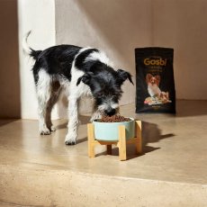 画像2: NEW 最短賞味2027.8.1・ゴスビ 犬 EXCLUSIVE グレインフリー アダルト フィッシュ MINI 500g gos10395 Gosbi正規品 (2)