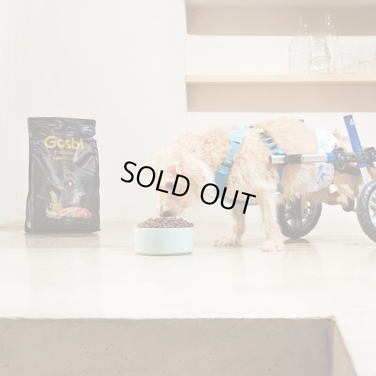 画像2: NEW 入荷待ち・ゴスビ 犬 EXCLUSIVE グレインフリー アダルト MINI 7kg gos11020 Gosbi正規品 (2)