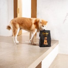画像2: NEW 入荷待ち・ゴスビ 犬 EXCLUSIVE グレインフリー アダルト MAXI 12kg gos11044 Gosbi正規品 (2)