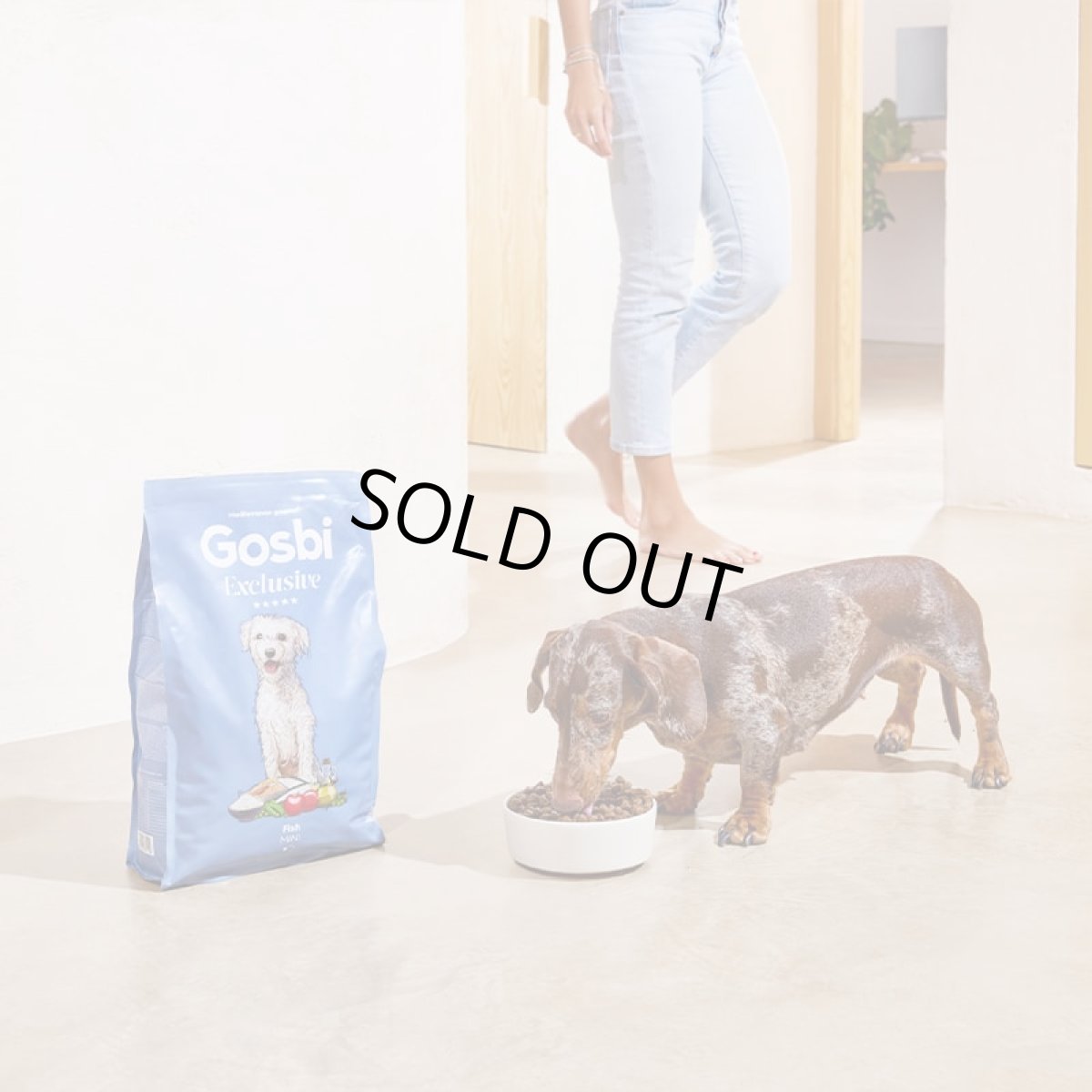 画像2: NEW 入荷待ち・ゴスビ 犬 EXCLUSIVE フィッシュ MINI 2kg gos11198ローグレイン成犬用ドライ Gosbi正規品 (2)