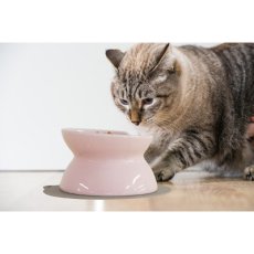 画像4: にゃんプレダブル・ペールピンク 猫用食器・HARIO・日本製 ha60251 (4)