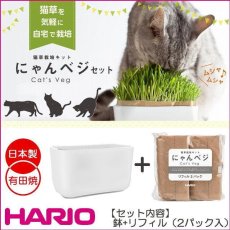 画像5: にゃんベジ・セット 猫草栽培キット 有田焼容器・リフィル2個 HARIO ハリオ 日本製ha60374 (5)