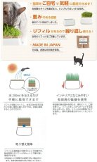 画像2: にゃんベジ・セット 猫草栽培キット 有田焼容器・リフィル2個 HARIO ハリオ 日本製ha60374 (2)