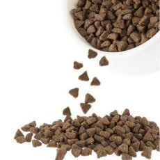 画像3: NEW 最短賞味2026.8.4・ハーロウブレンド 猫 チキン＆サーモン 250g全年齢猫用キャットフードHarlow Blend正規品hb03050 (3)