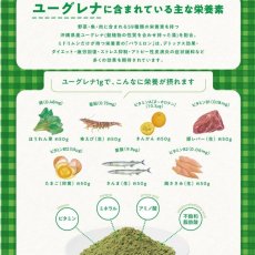 画像5: 最短賞味2025.10.30・eugreen阪急ハロードッグ 機能性 チキン120g成犬・シニア犬用ドッグフードhd01244/165435 (5)