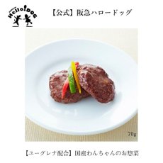 画像2: 最短賞味2024.11・阪急ハロードッグ eugreen 馬肉ハンバーグ70g犬用レトルトお惣菜ユーグレナ配合hd01305/139649 (2)