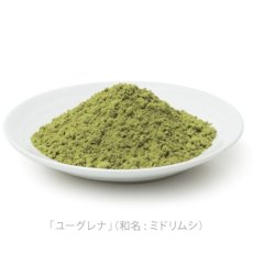 画像3: 最短賞味2024.11・阪急ハロードッグ eugreen 馬肉ハンバーグ70g犬用レトルトお惣菜ユーグレナ配合hd01305/139649 (3)