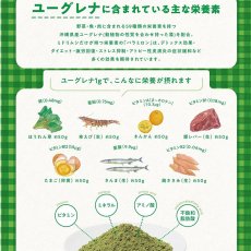 画像6: 最短賞味2028.2・阪急ハロードッグ eugreen 牛肉手ごねハンバーグ100g犬用レトルトお惣菜ユーグレナ配合hd01510/165442 (6)