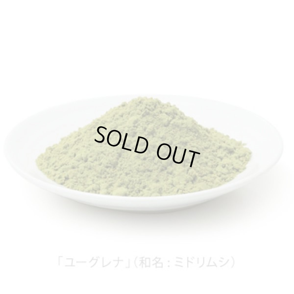 画像4: 最短賞味2026.5・阪急ハロードッグ eugreen 豚肉のかぼちゃソテー100g犬用レトルトお惣菜ユーグレナ配合hd01534/165444 (4)