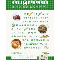 画像4: 最短賞味2024.2・eugreen阪急ハロードッグ キューブクッキー（カボチャ）30g犬用おやつユーグレナ配合hd02470/139666 (4)