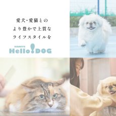 画像7: 最短賞味2027.5・阪急ハロードッグ Hello Tree Time 国産鹿肉のキューブ 25g犬用おやつhd27886 (7)