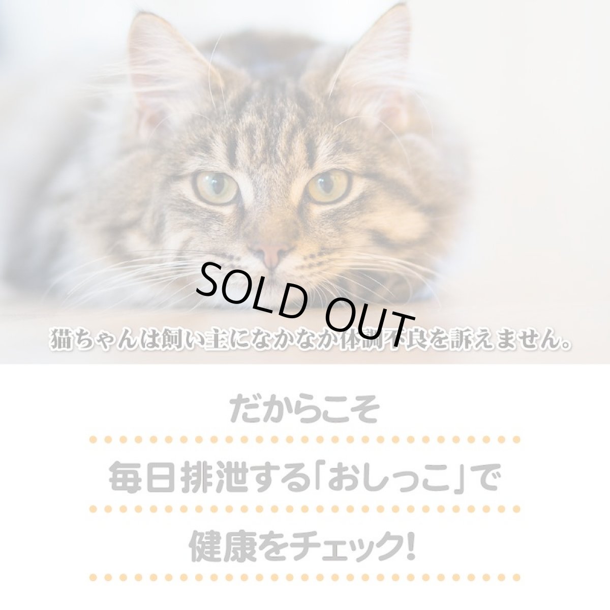 画像3: ヘルスインディケーター 200g 月に１度、愛猫の健康チェック！ (3)