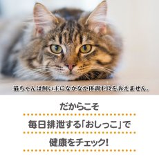 画像3: ヘルスインディケーター 200g 月に１度、愛猫の健康チェック！ (3)