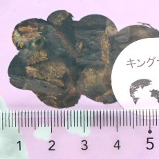 画像4: 最短賞味2026.6・iti イティキャット トリーツ キングサーモン＆ビーフジャーキー ビューティーケア 100g 猫用おやつ正規輸入品it47869 (4)