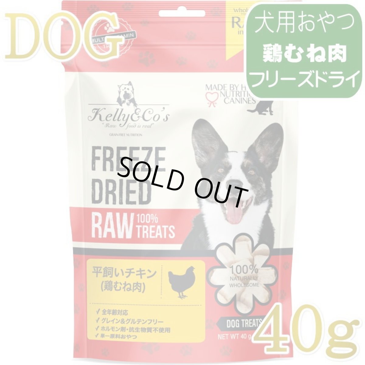 画像1: NEW 最短賞味2027.8・ケリーアンドコー 犬フリーズドライ おやつ チキンブレスト 40g犬用kec00015/Kelly＆Co’s正規品 (1)