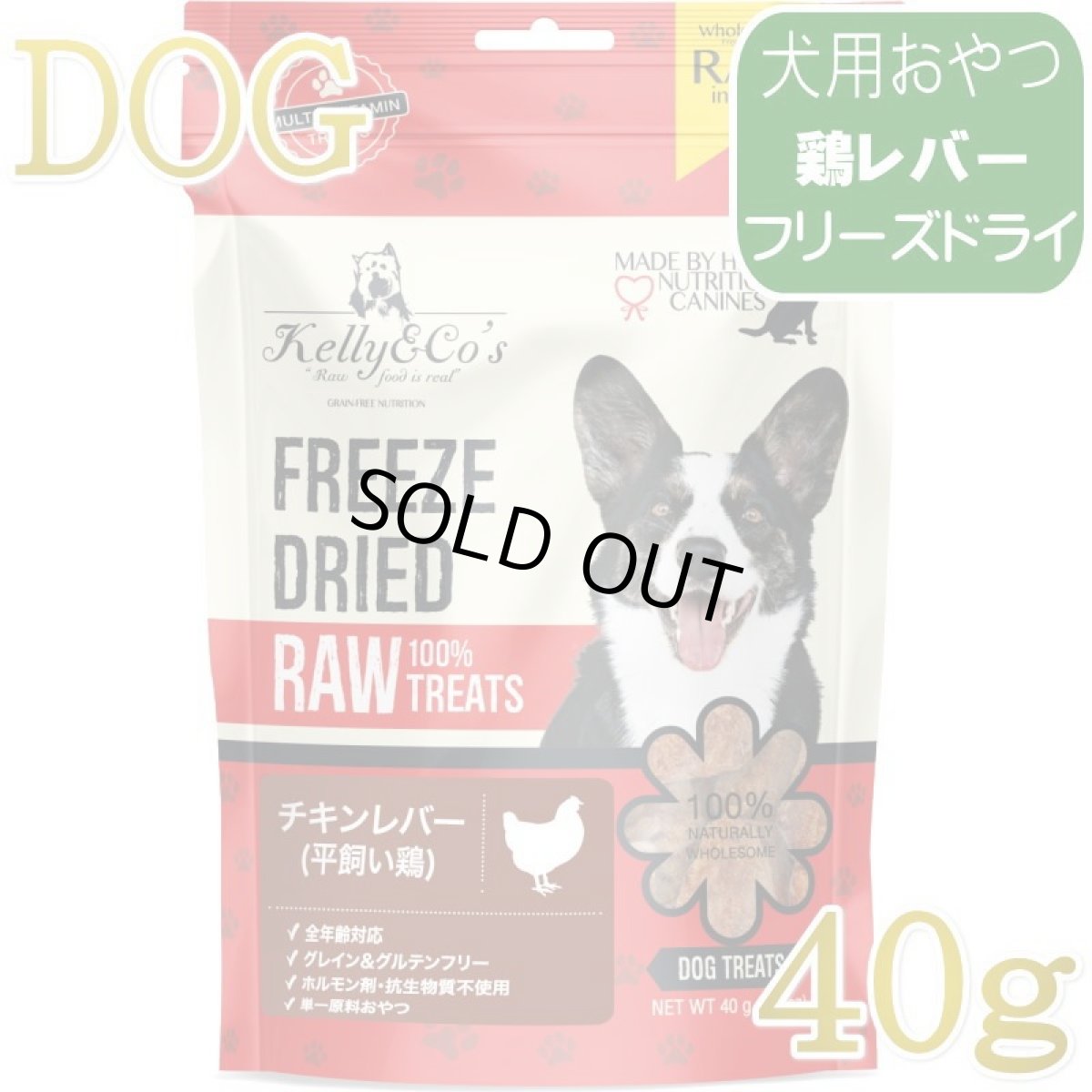 画像1: NEW 最短賞味2027.8・ケリーアンドコー 犬フリーズドライ おやつ チキンレバー 40g犬用kec00022/Kelly＆Co’s正規品 (1)