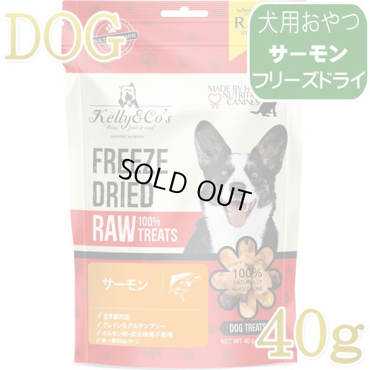 画像1: NEW 最短賞味2028.6・ケリーアンドコー 犬フリーズドライ おやつ サーモン 40g犬用kec00039/Kelly＆Co’s正規品 (1)