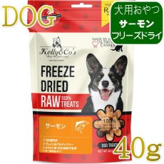 画像1: NEW 最短賞味2028.1・ケリーアンドコー 犬フリーズドライ おやつ サーモン 40g犬用kec00039/Kelly＆Co’s正規品 (1)