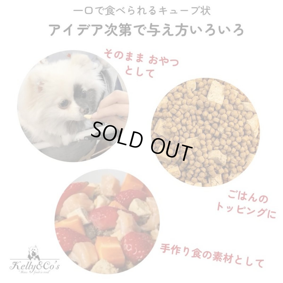 画像4: NEW 最短賞味2028.6・ケリーアンドコー 犬フリーズドライ おやつ サーモン 40g犬用kec00039/Kelly＆Co’s正規品 (4)