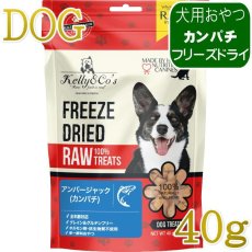 画像1: NEW 最短賞味2027.8・ケリーアンドコー 犬フリーズドライ おやつ アンバージャック（カンパチ）40g犬用kec00121/Kelly＆Co’s正規品 (1)